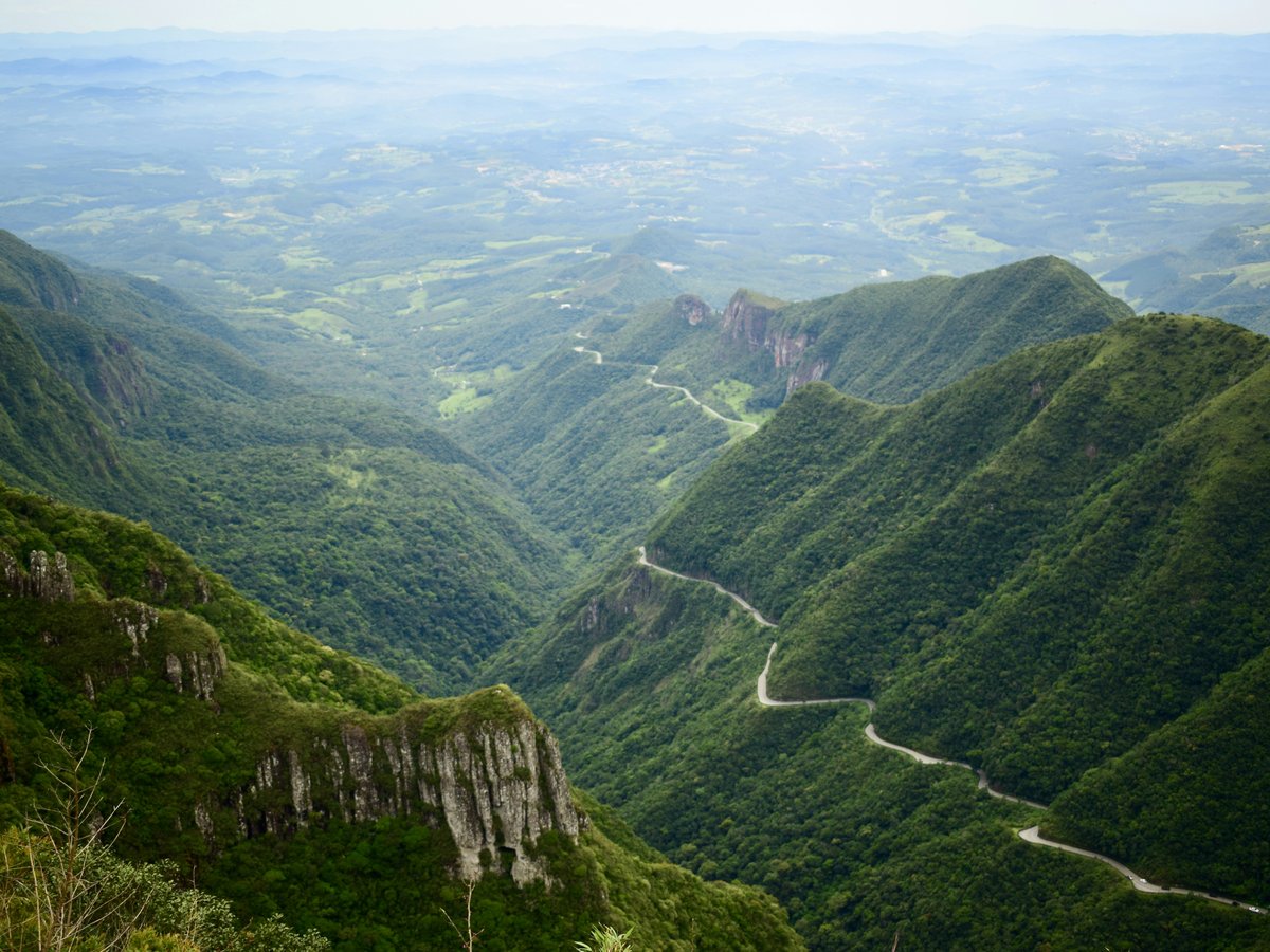 green covered mountain