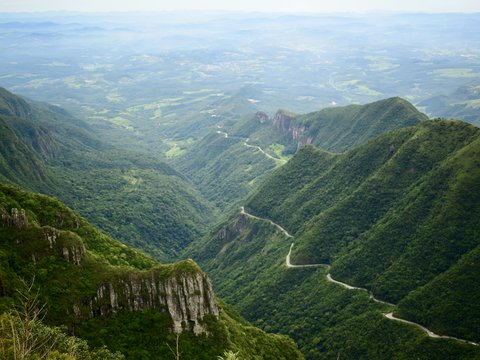 green covered mountain