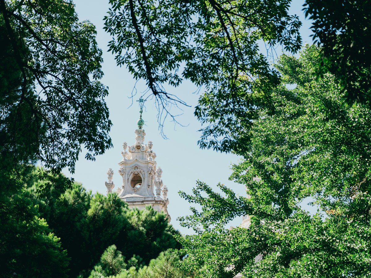 a tall white clock tower surrounded by trees