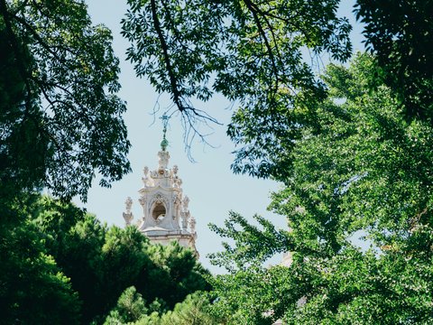 a tall white clock tower surrounded by trees