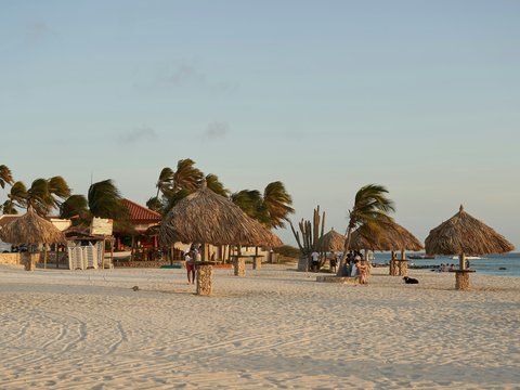 a sandy beach with thatched umbrellas and palm trees
