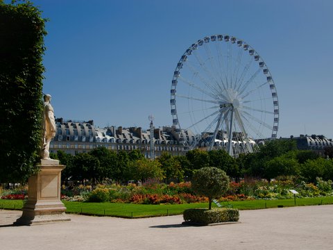 white ferris wheel near green grass field during daytime