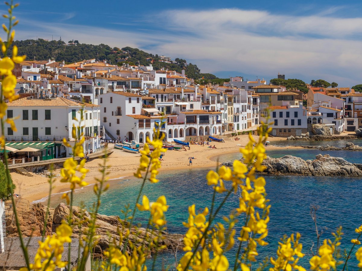 yellow and white houses near body of water during daytime