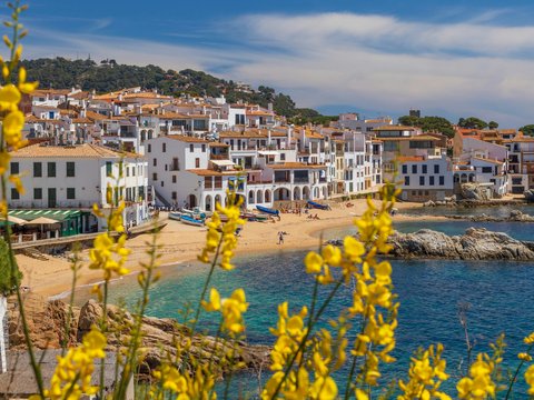 yellow and white houses near body of water during daytime