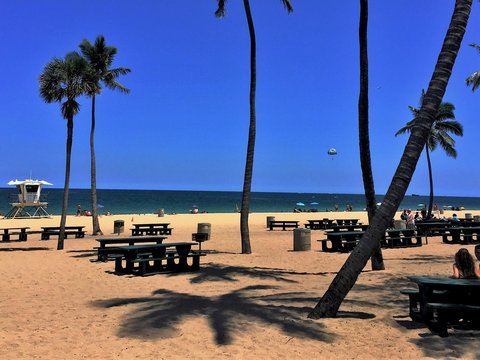 white and black pick up truck on beach shore during daytime