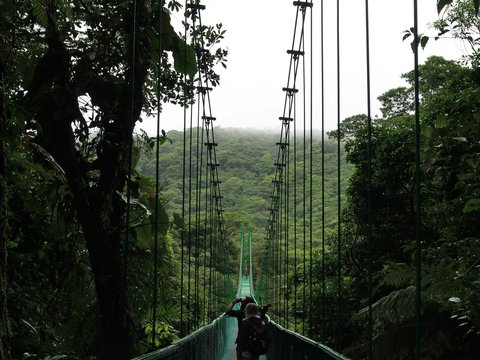 people walking on hanging bridge