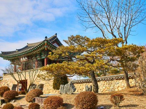 brown and white pagoda house