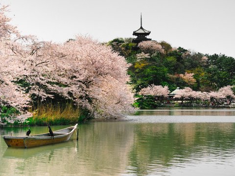 row boat on body of water