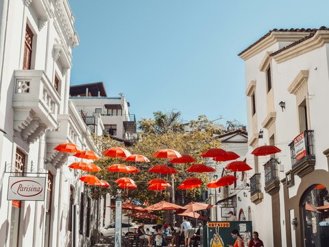people walking on street with umbrella during daytime