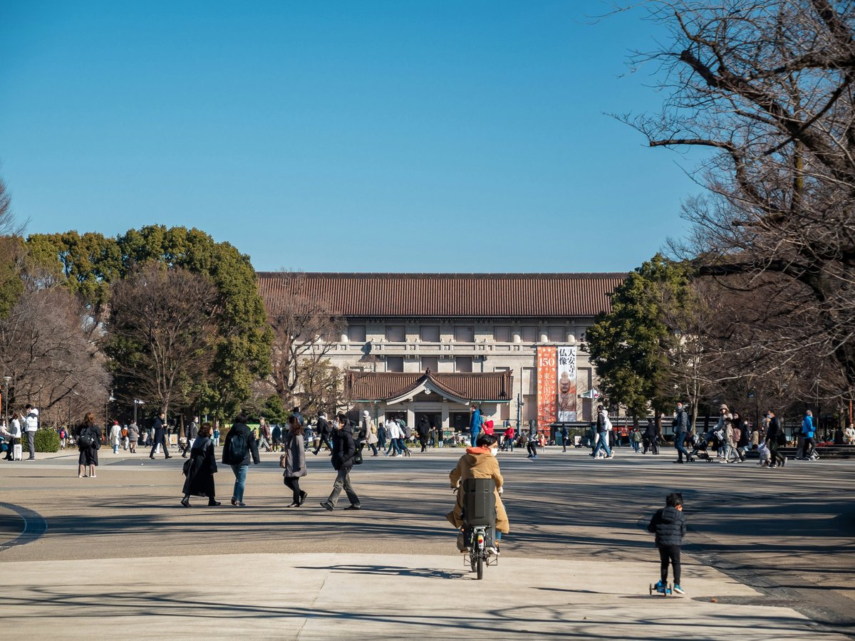 a group of people walking and riding bikes in a park