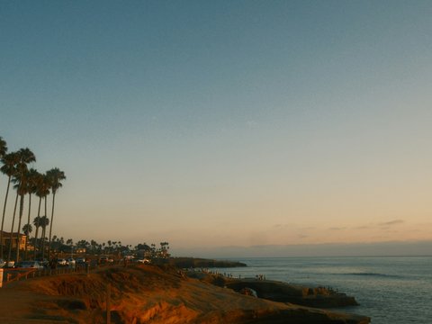 Palm trees line a coastal road overlooking the ocean