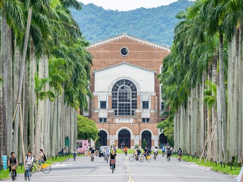 A group of people walking down a street next to tall palm trees
