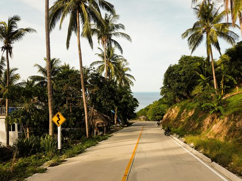 road near tree during daytime