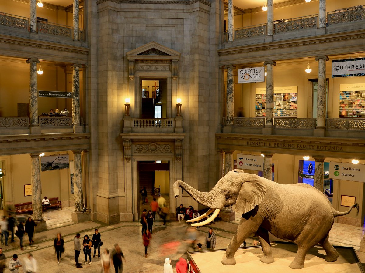an elephant statue in a museum
