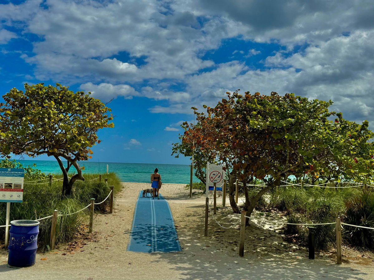 a person sitting on a bench on a beach