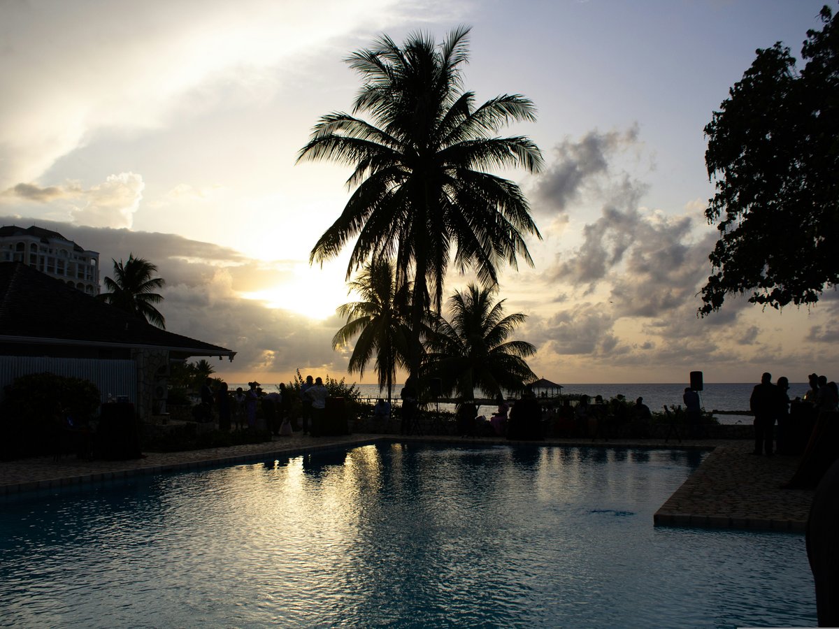 a body of water with buildings and trees around it