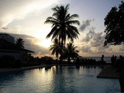 a body of water with buildings and trees around it