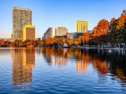 green trees near body of water during daytime