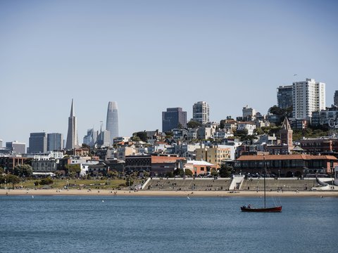 San francisco skyline with transamerica pyramid and salesforce tower.