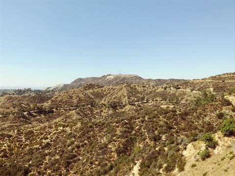 brown plains