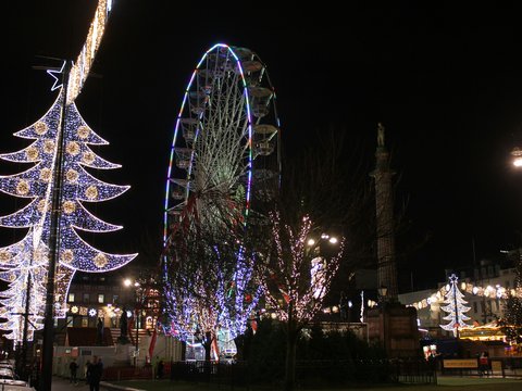 a ferris wheel surrounded by christmas lights and trees