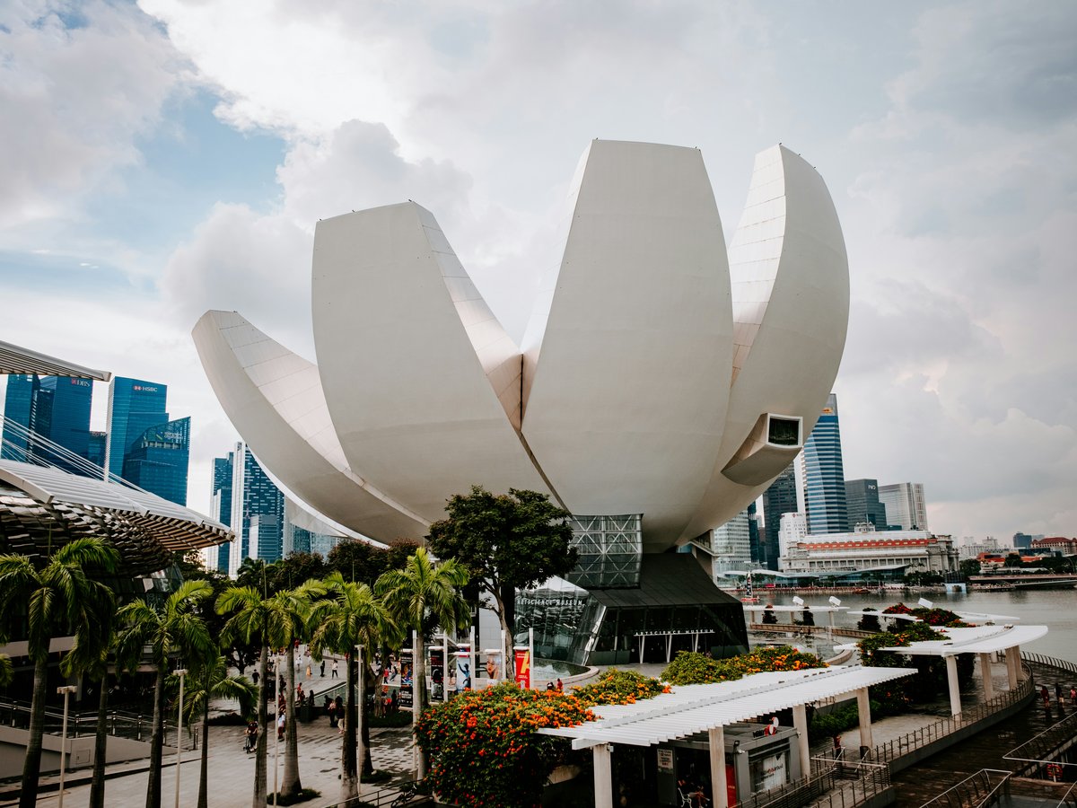 a large white flower sculpture in front of a body of water