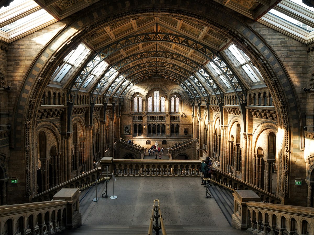 natural history museum interior arched hall