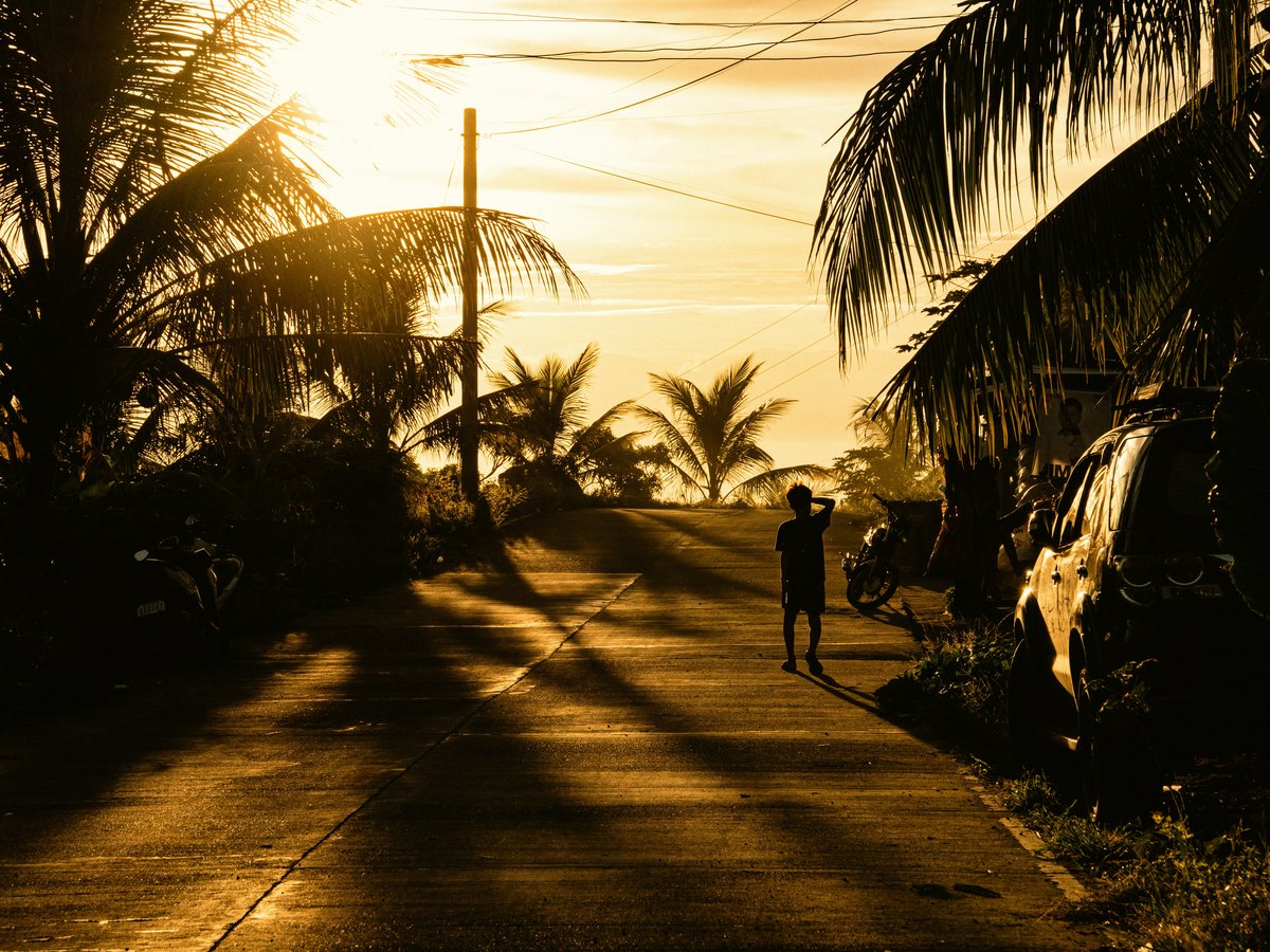 A person walking down a street with palm trees in the background