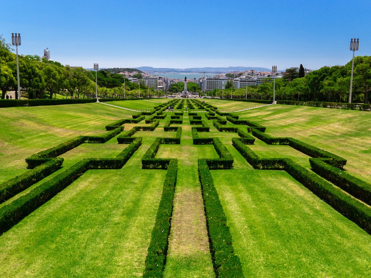 hedge maze