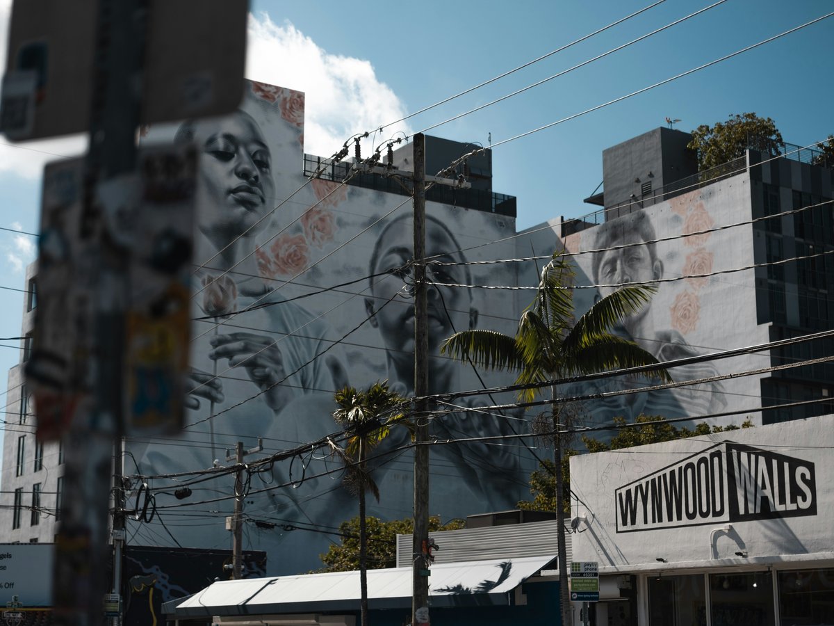 Urban artwork adorns a building in a city.