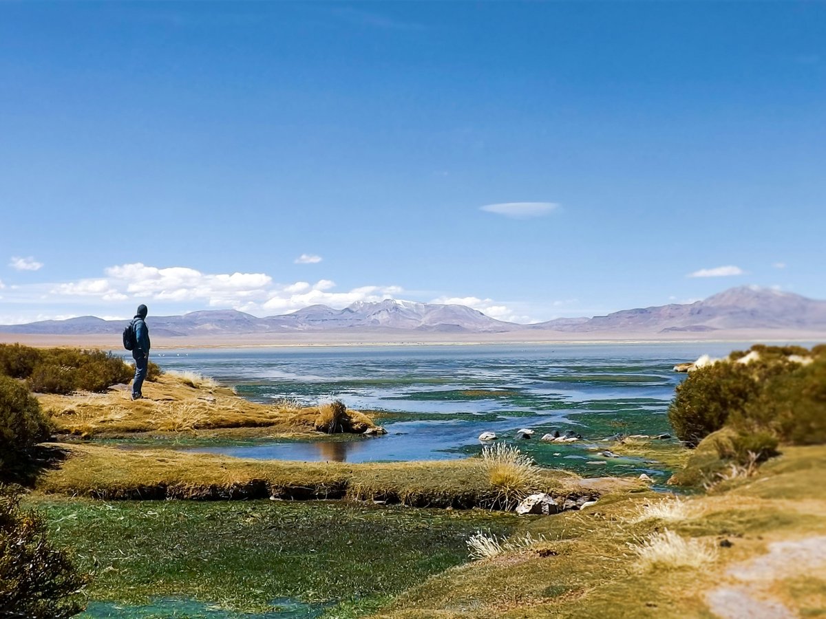 man in black jacket standing on green grass field near body of water during daytime