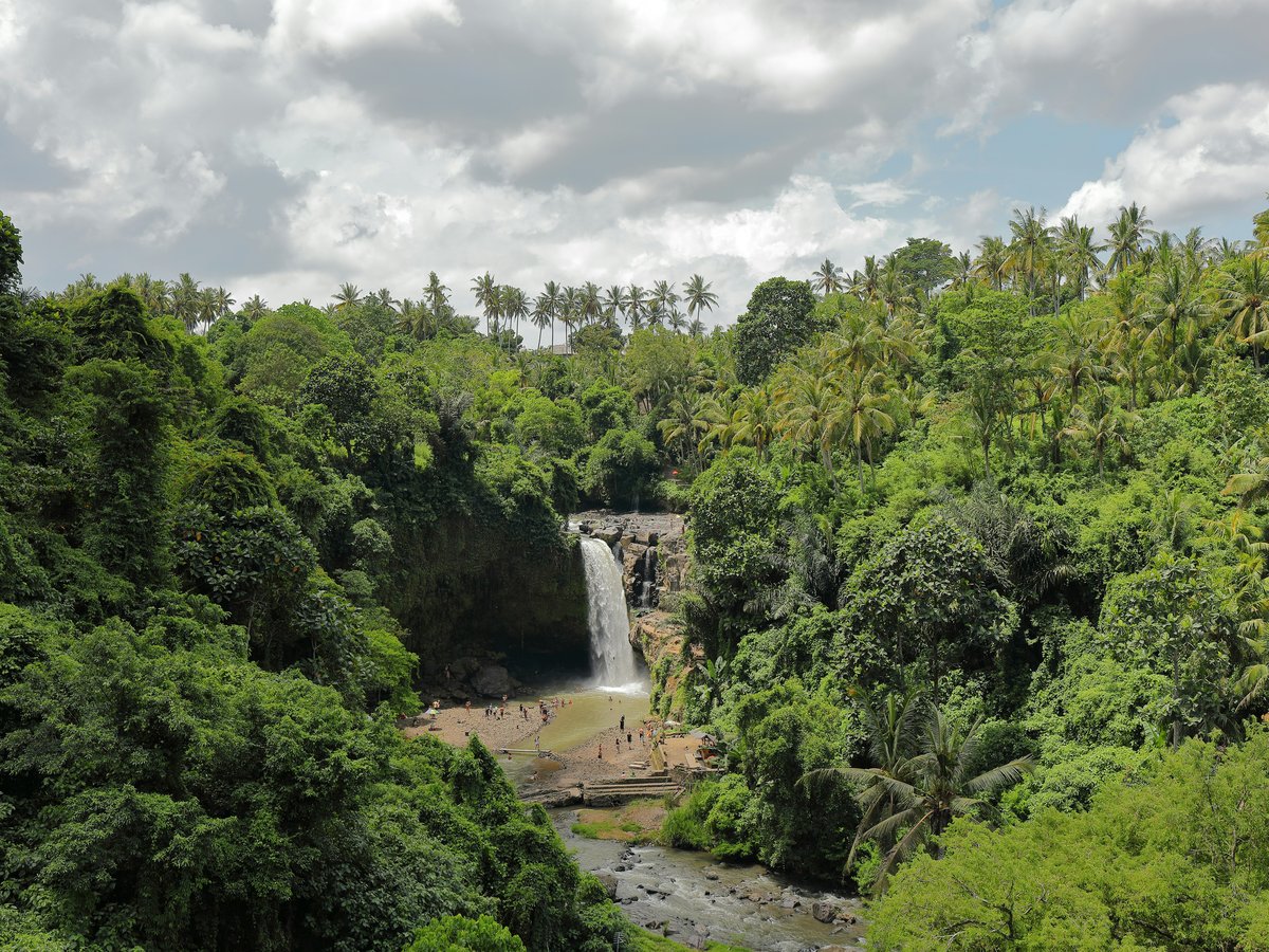 landscape photography of trees and water falls