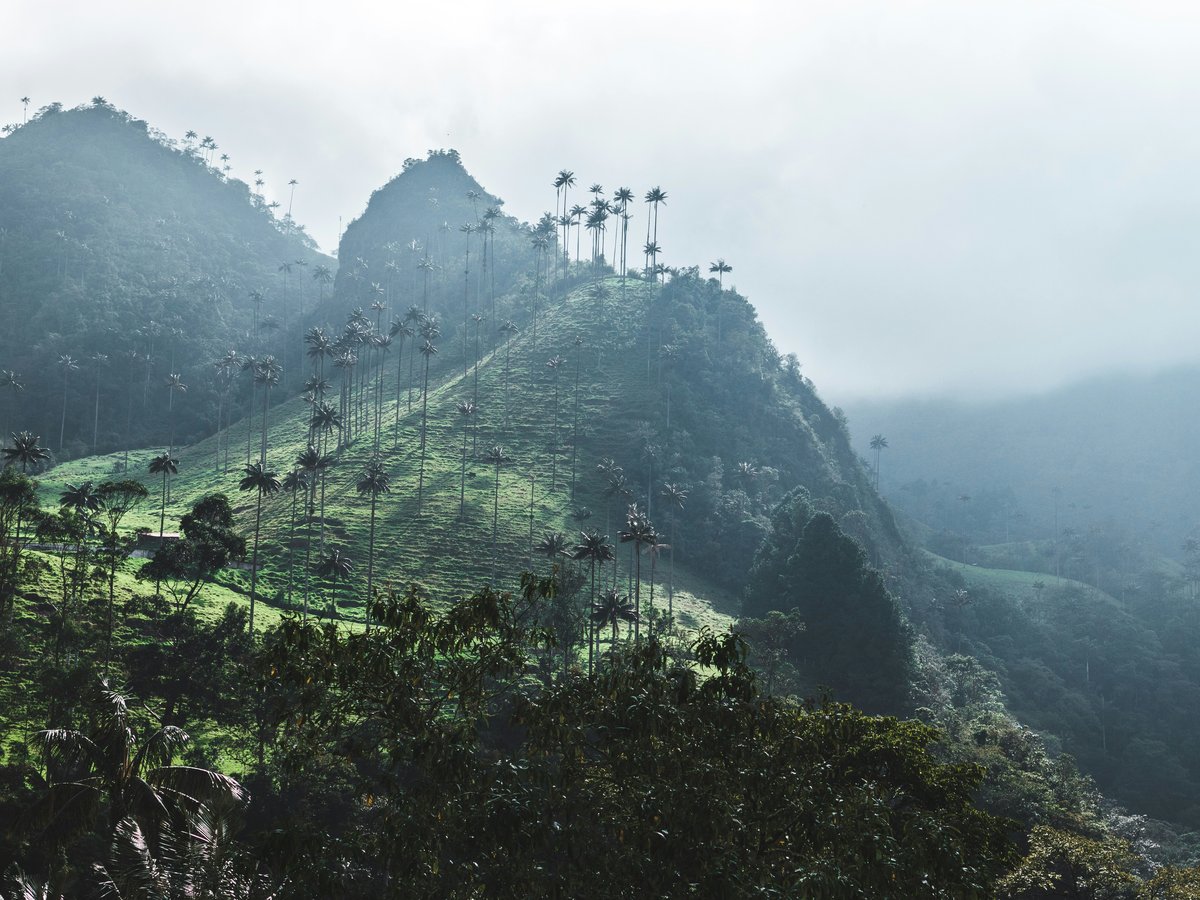 green mountain during daytime