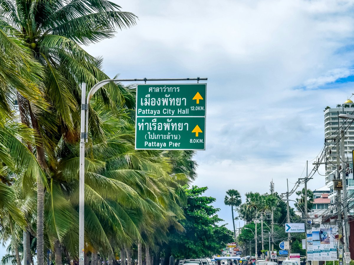 A street with palm trees and a street sign