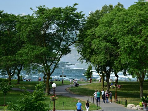 A group of people walking down a sidewalk next to trees