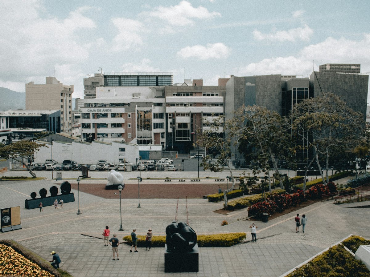 people on park
