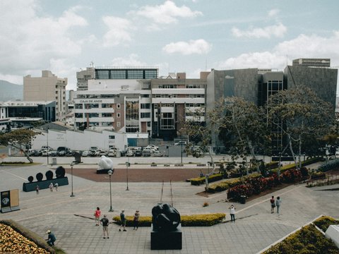 people on park