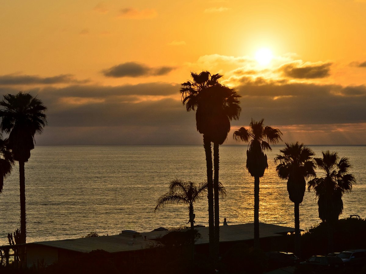 Silhouetted palm trees against a vibrant sunset over the ocean