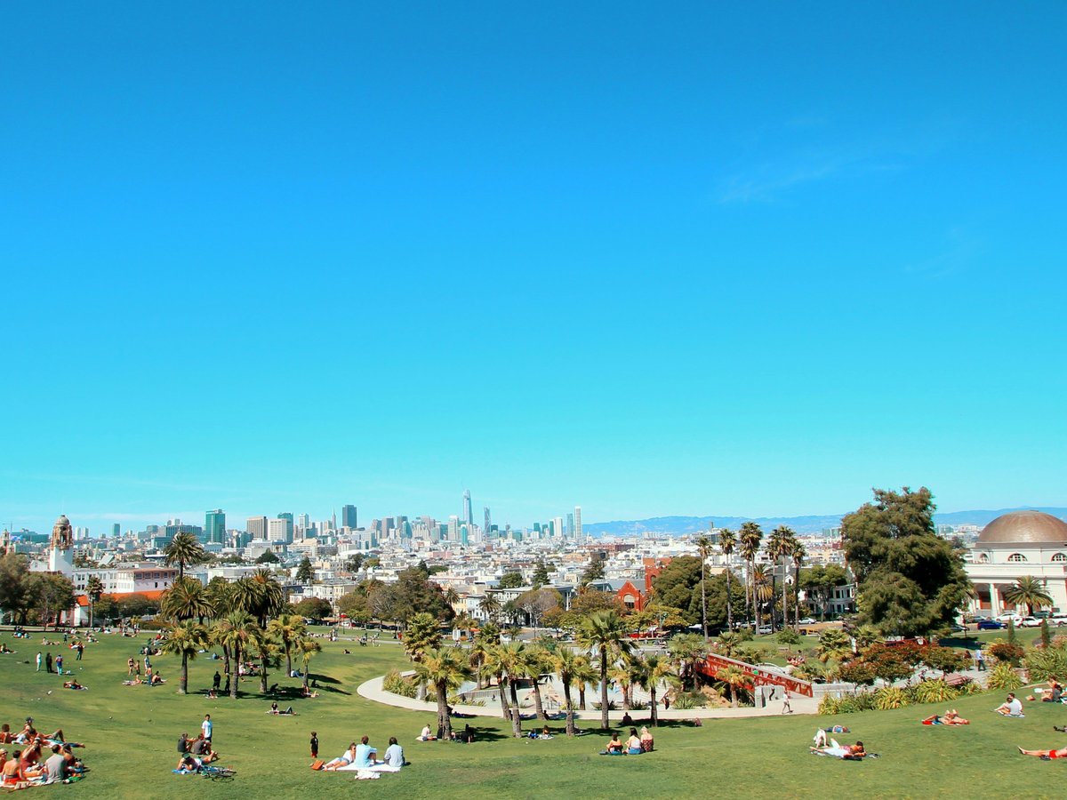 people sitting on green grass field during daytime