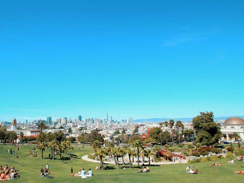 people sitting on green grass field during daytime
