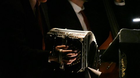 A spotlit bandoneón and upright bass float out of inky black stage shadow as two suited tango musicians play, the accordion's mother-of-pearl inlay catching warm light against their dark jackets and red ties