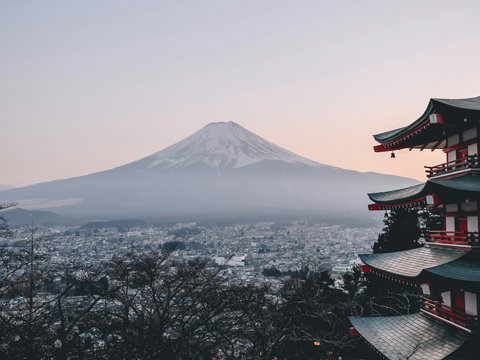 Mt. Fuji