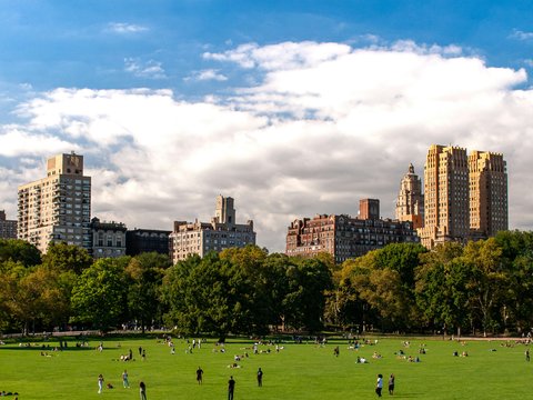 people playing soccer on green grass field during daytime