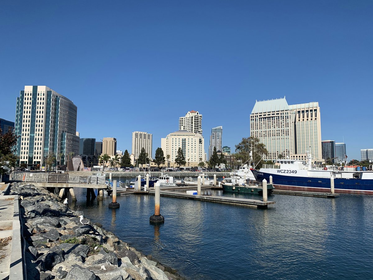 white and blue boat on sea near city buildings during daytime