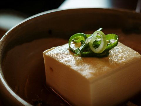 A block of tofu topped with sliced green onions.