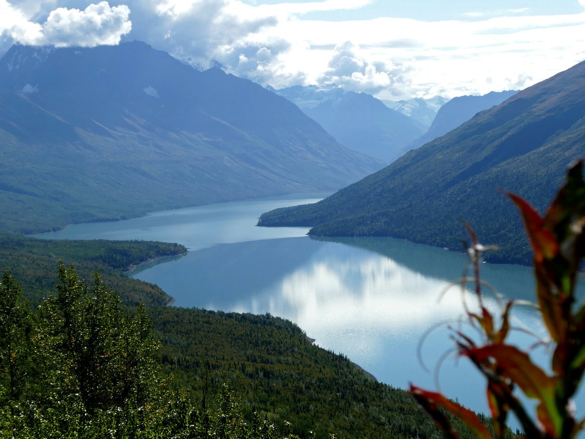 Serene lake surrounded by misty mountains and lush forest