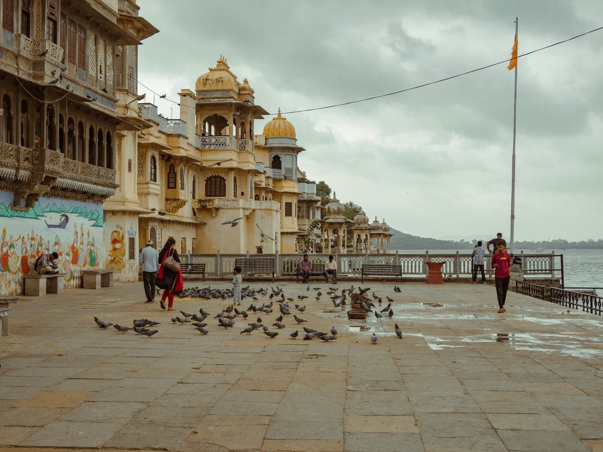 a flock of birds sitting on top of a sidewalk next to a body of water