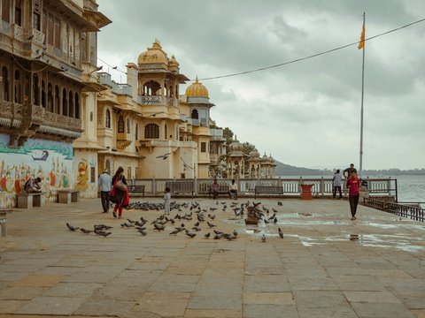 a flock of birds sitting on top of a sidewalk next to a body of water