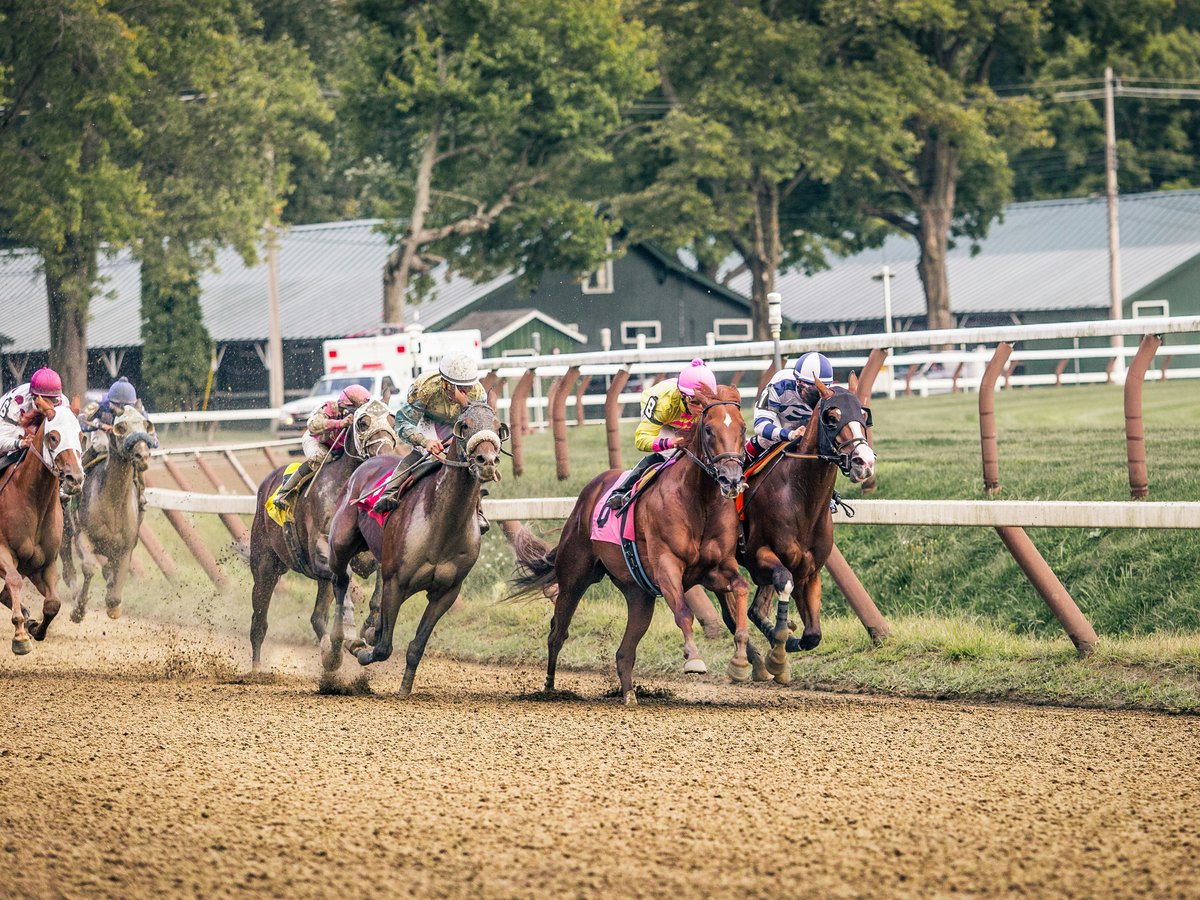 people riding horses on brown field during daytime