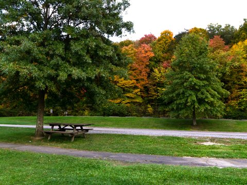a park with a bench